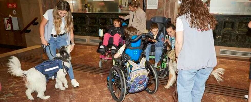 entrega recaudacion andada canina - kalibo