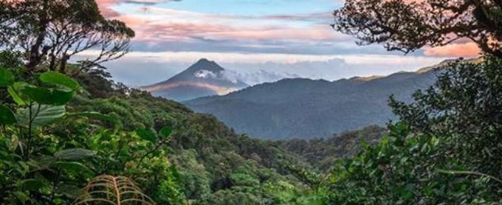 iris global-reto pelayo vida costa rica 2025