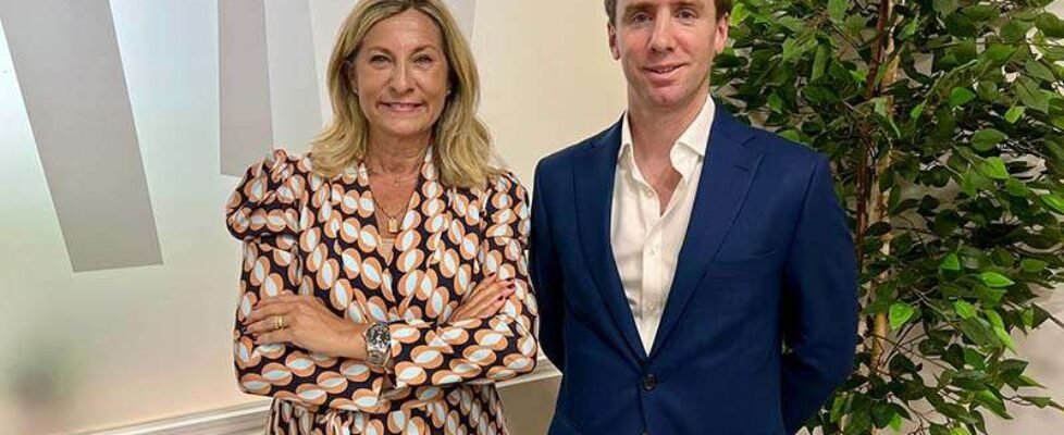 stoik - colegio madrid