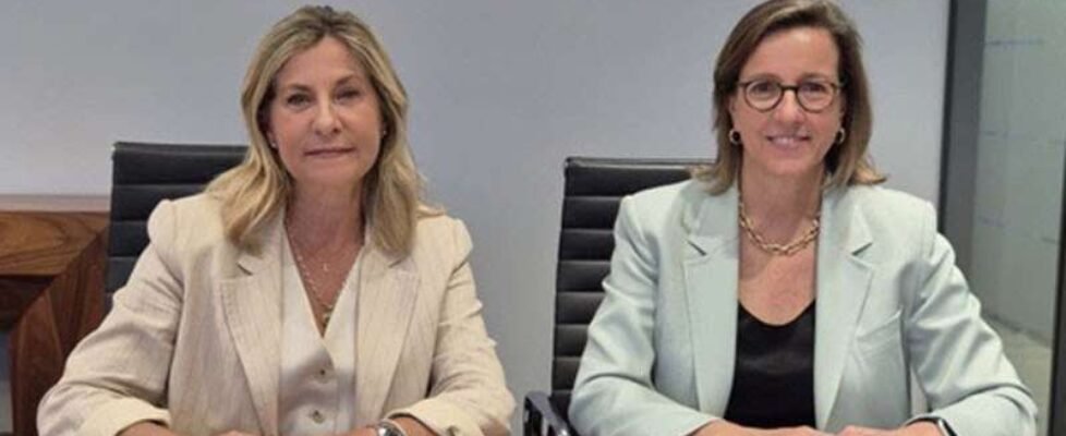 AIG - Colegio Madrid