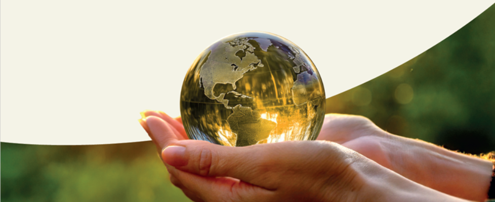 Informe de Sostenibilidad 2024 Musaat