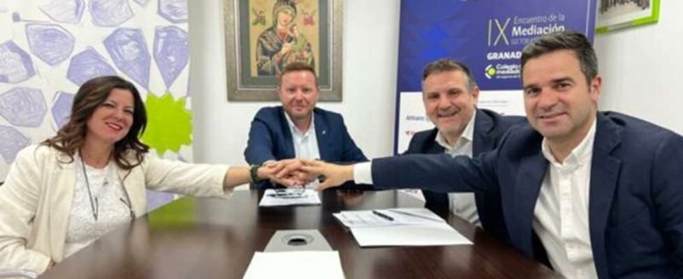 Mapfre- Colegio Granada