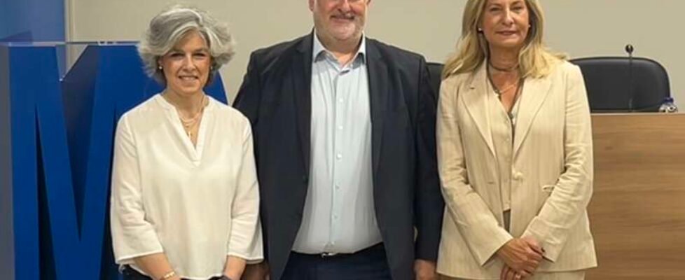 colegio madrid- asociacion mediadores italianos -  Unione Europea Assicuratori (UEA)