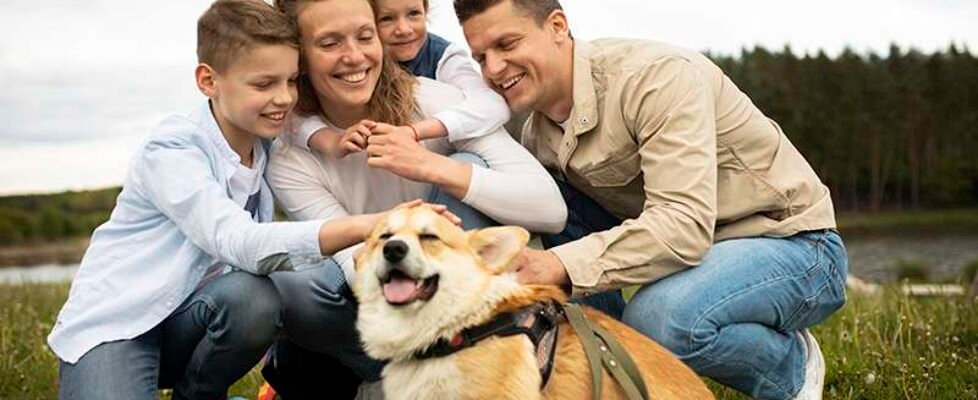 familia-mascotas - free