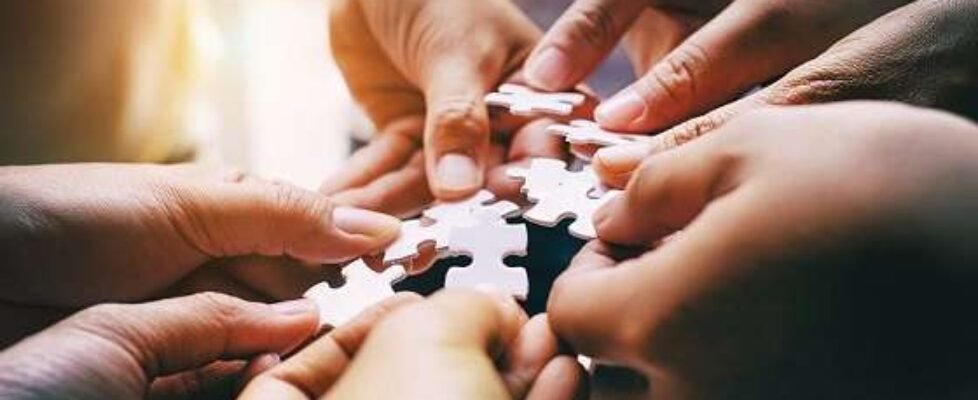 fuisones_puzzle2 compra adquisición