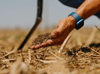 mapfre-huella carbono-proyectos biodiversidad- medio ambiente