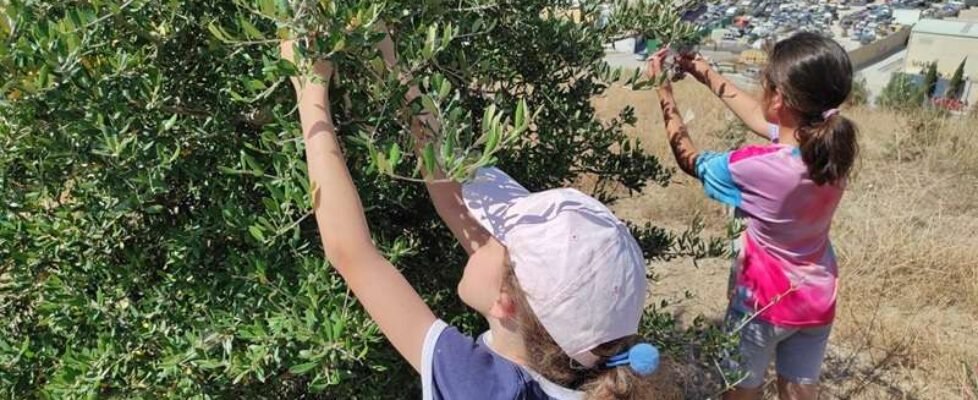 meridiano-asociacion almijara-actividad infantil-restauración-vertedero malaga