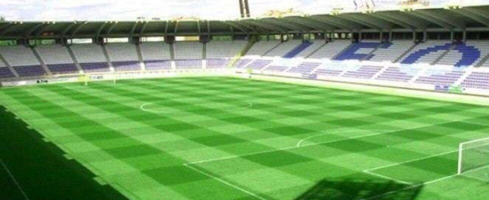 MGS CULTURAL LEONESA