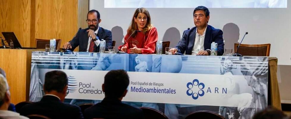 Pool de Corredores PB0054 (002)