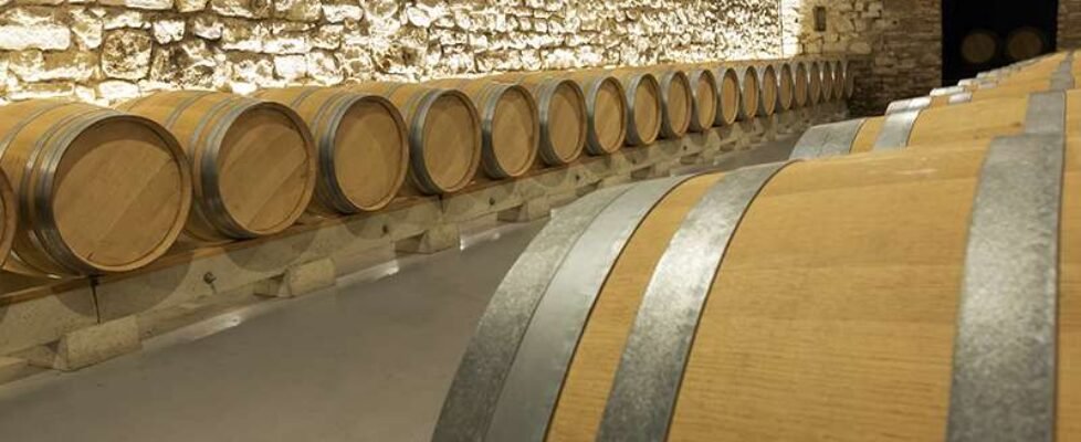 Solunion detalla la situación y los riesgos del sector vitivinícola en España