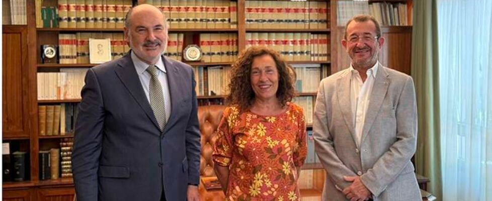 finsa grupo - galvez y selgado