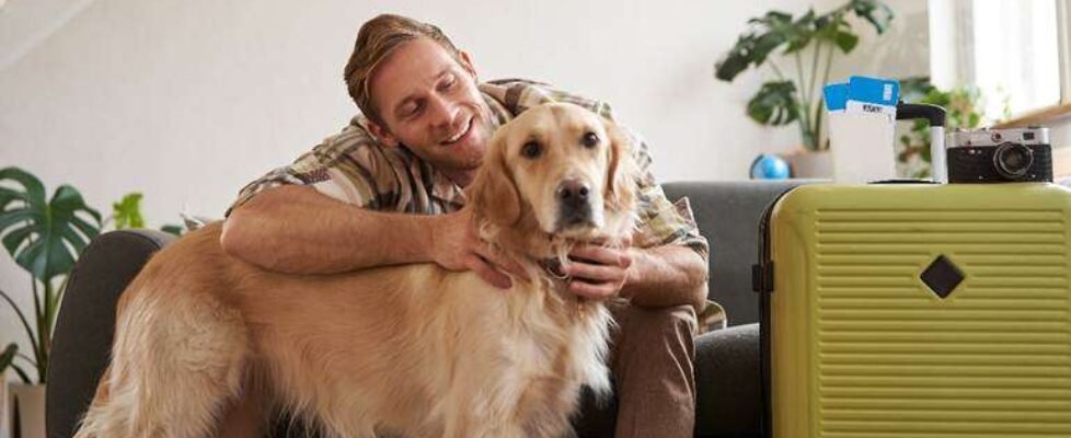 iris global mascotas