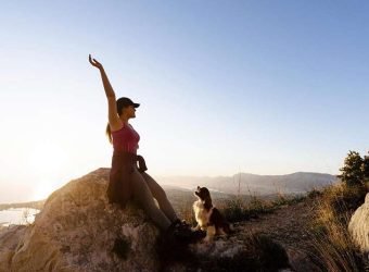 iris global productos