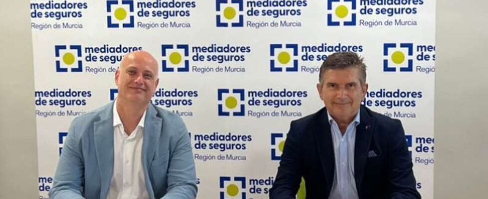 renovacion ralarsa Colegio Murcia