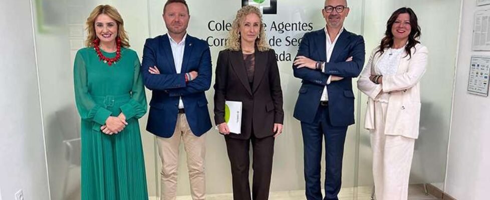 renovacion_CMS_Zurich_3