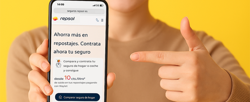 repsol - proyectos y seguros