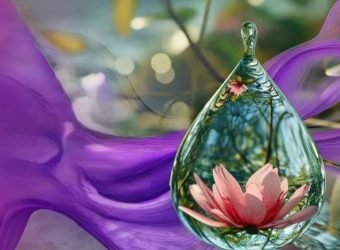 solunion informe sostenibilidad