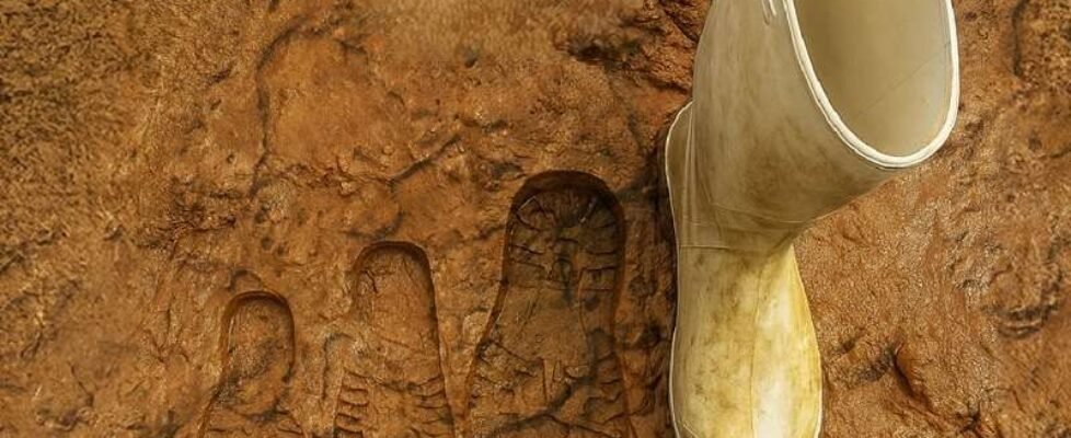 Divina Exposición Lodo