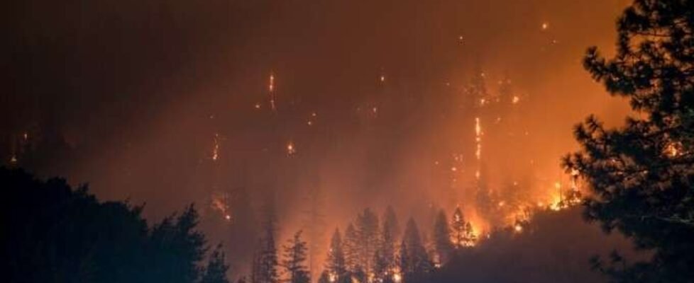 allianz incendio forestal