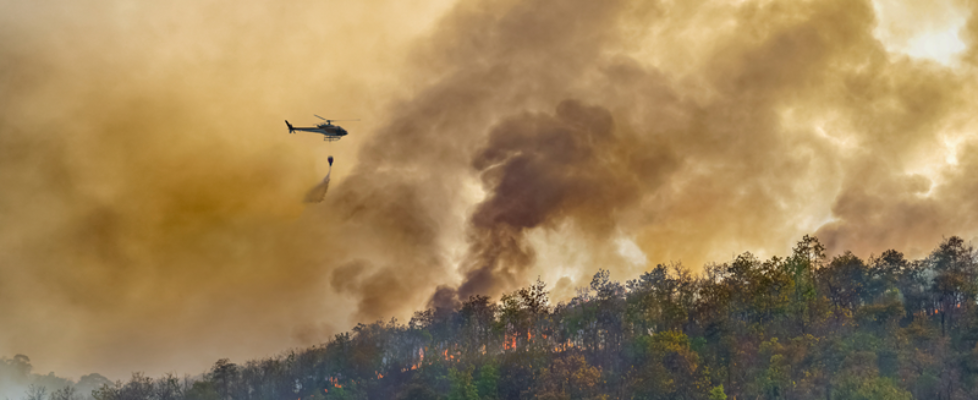 Tecnifuego_Incendios forestales