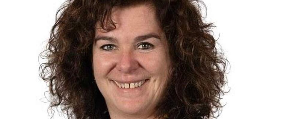 diana lopez suarez - credito y caucion