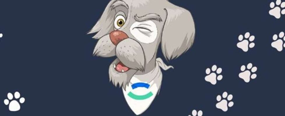 seguro-de-viaje-de-mascotas-puppyta-iris-global