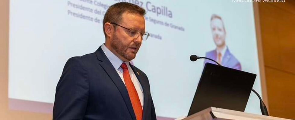 Gerardo Sanchez Capilla - Colegio Granada