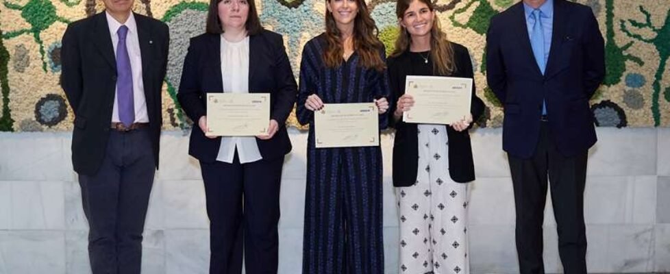 NP F ASISA_ ICOMEM-Premios MIR 2025