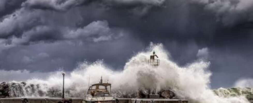 allianz dana temporal