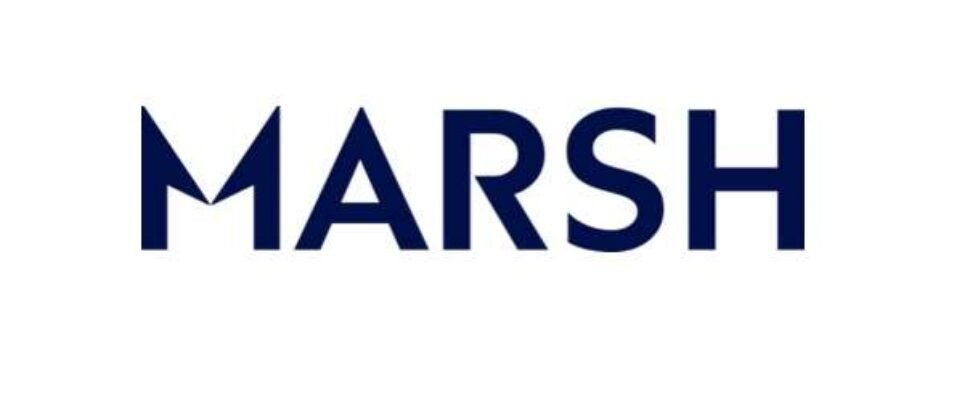 marsh nuevo logo