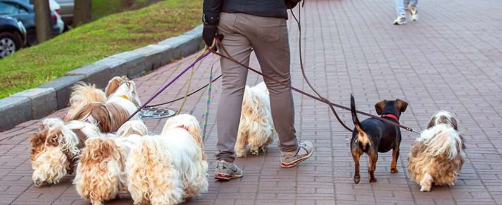 Hiscox descubre las profesiones más sorprendentes que deberían asegurar su RC