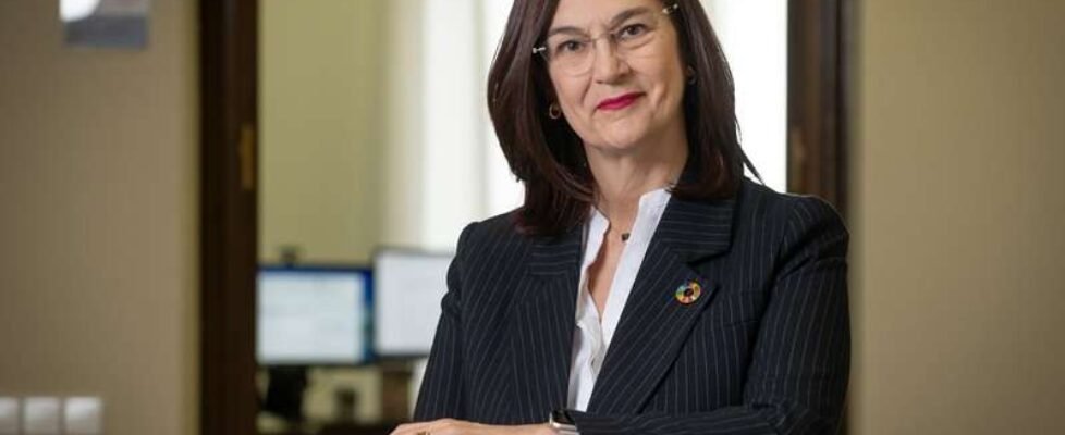 Cani Fernández presidenta CNMC comision nacional mercado competencia