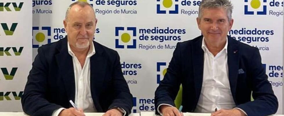 DKV colegio murcia 2025.jpg