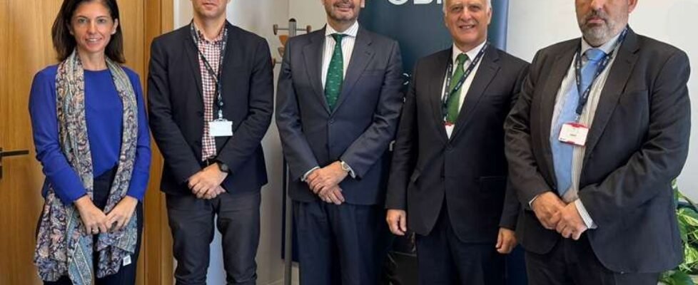 Laura López, Andrés Montiel, Manuel Pozo, Javier Molina Grijalba y Pedro Peñas Vargas- CBNK COIN