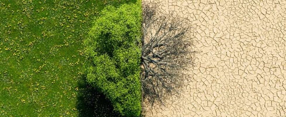 Mapfre cambio climatico