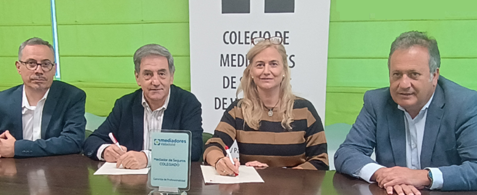 Occident Colegio Valladolid 2025