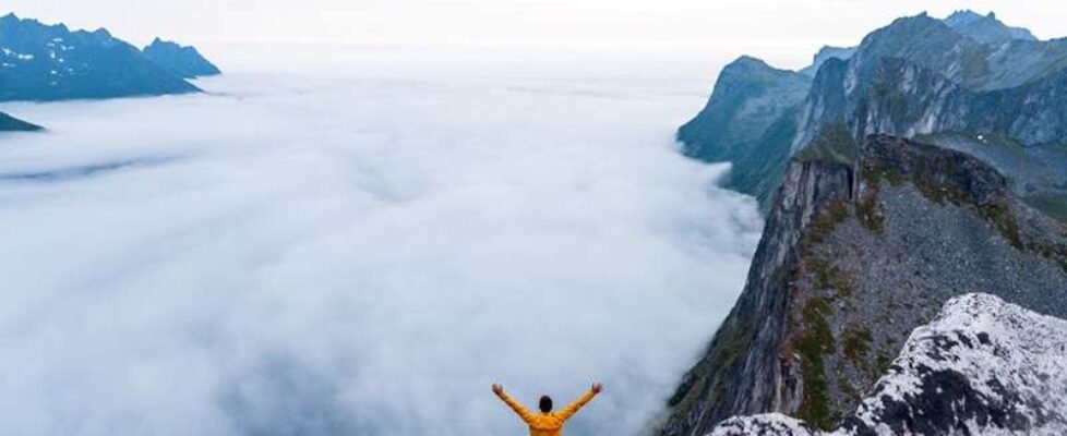 intermundial ultimate