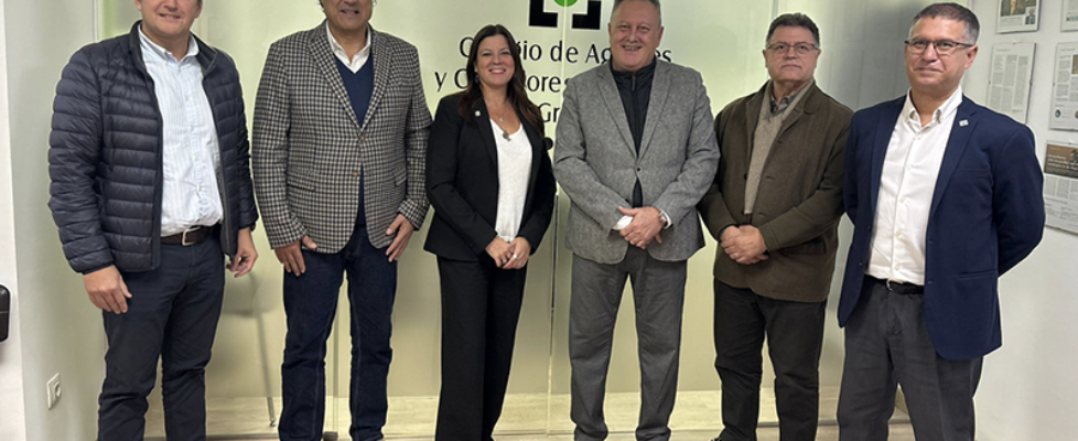 reale - colegio granada