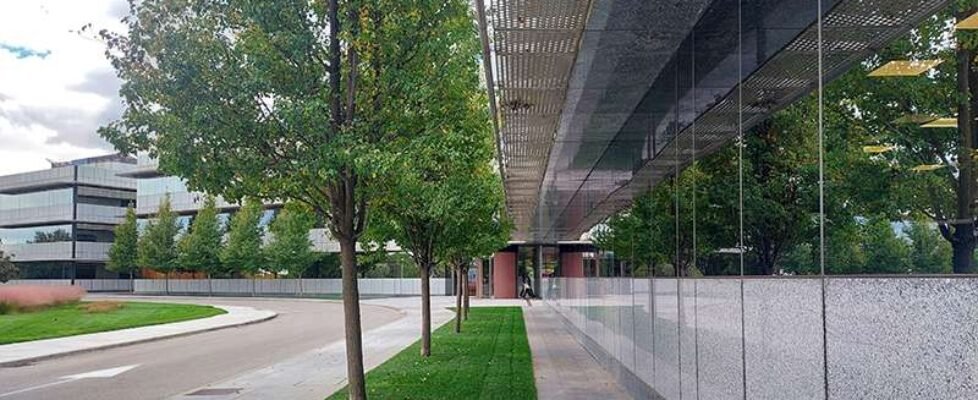 SEDE MAPFRE dic 2025