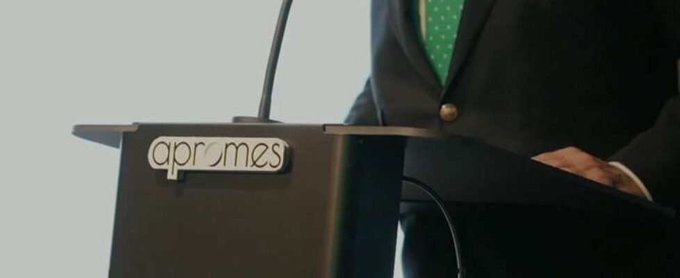 imagen pagina web apromes