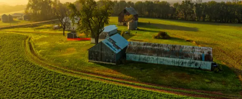 servicio-seguros-agrarios-cocampo y micappital