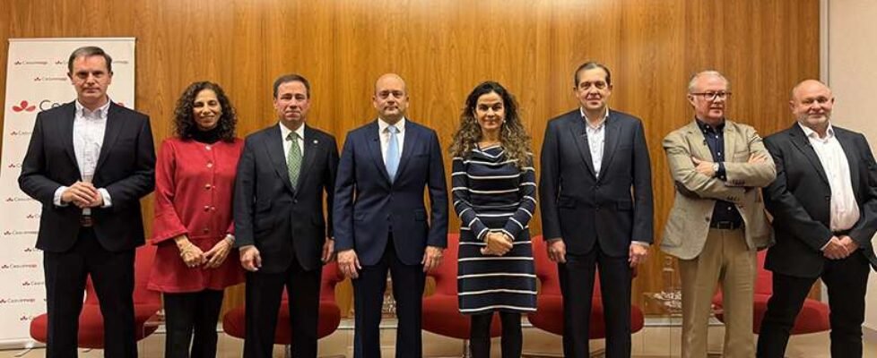 cesvimap libro blanco posventa