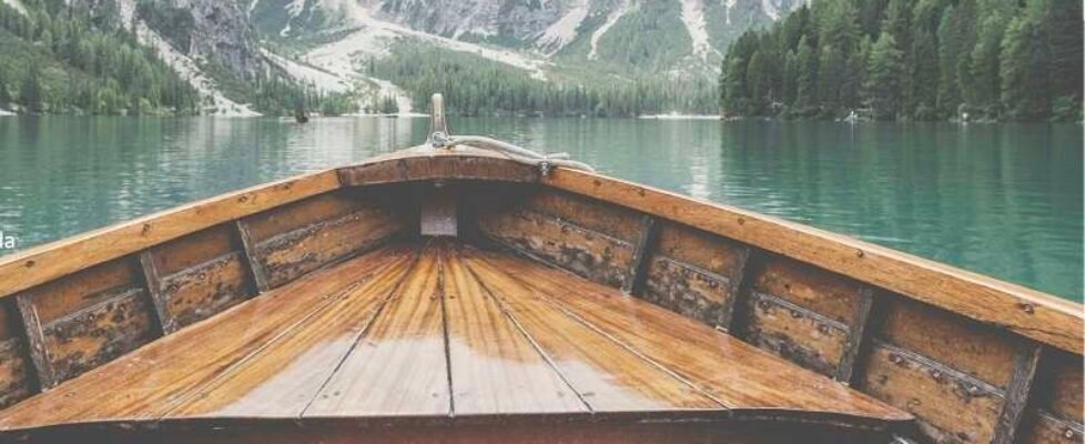 clyde Imagen oficial iDefend Travel (002)