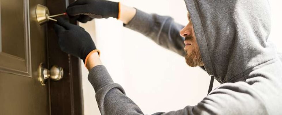 ¿Qué es un seguro ante la ocupación ilegal y cuál es la mejor opción?