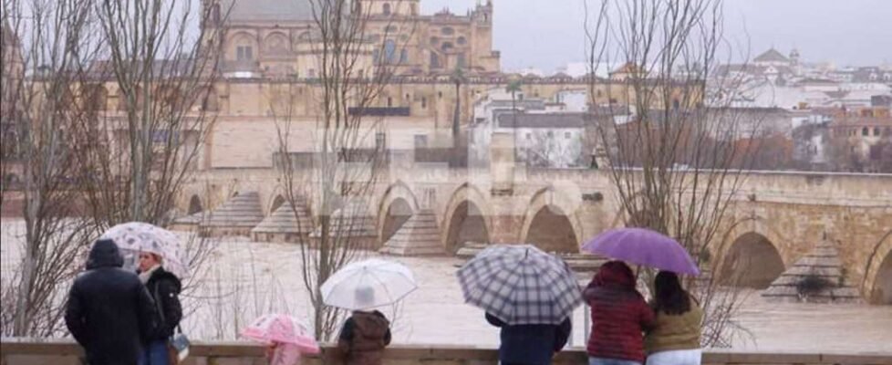 bbva allianz lluvia córdoba inundaciones