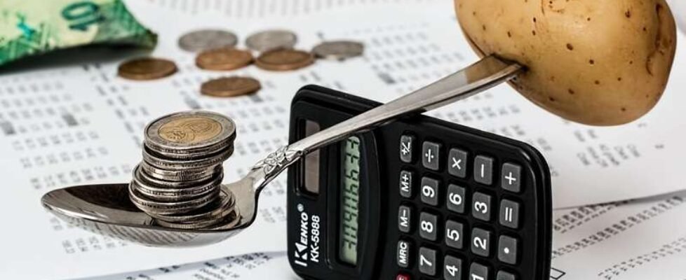 factura hogar cesta compra ahorro gastos - gratuita