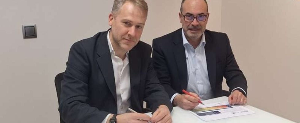 grupo intercor y reale