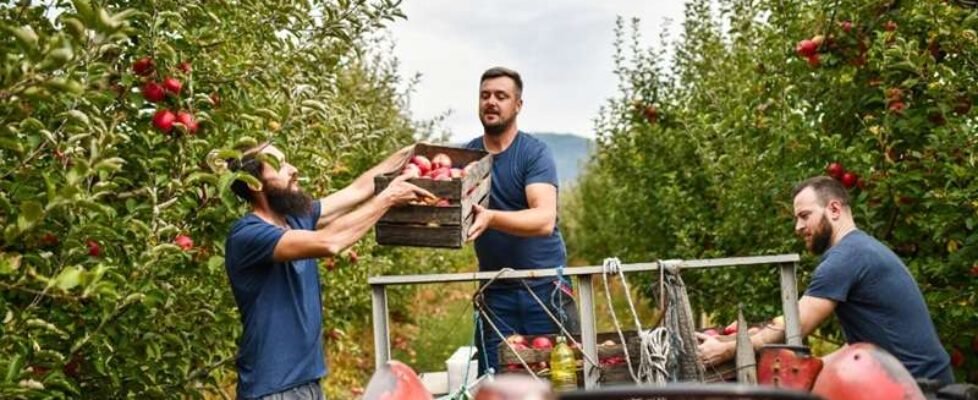 mapfre sostenibilidad