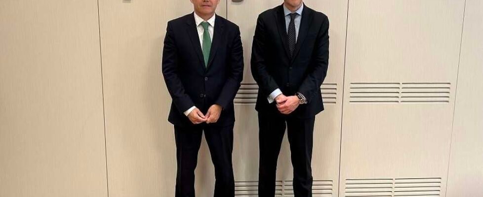 pelayo presidente director general