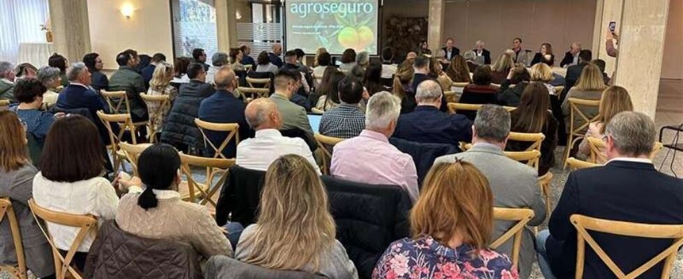 Asistentes-Jornada-de-Citricos valencia 2026 agroseguro